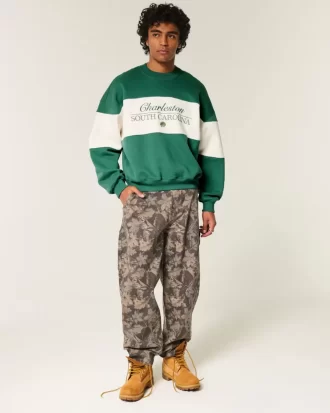 Bluza z nadrukiem Baggy Cinch Charleston